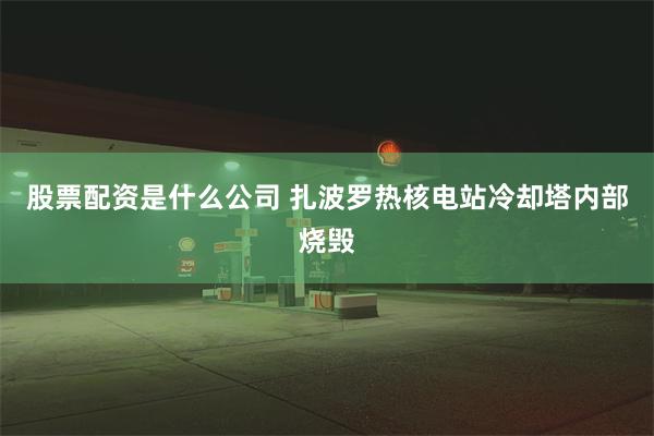 股票配资是什么公司 扎波罗热核电站冷却塔内部烧毁