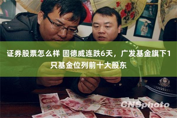 证券股票怎么样 固德威连跌6天，广发基金旗下1只基金位列前十大股东