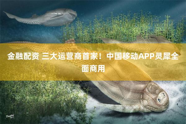 金融配资 三大运营商首家！中国移动APP灵犀全面商用