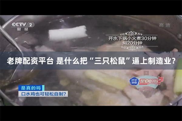 老牌配资平台 是什么把“三只松鼠”逼上制造业？