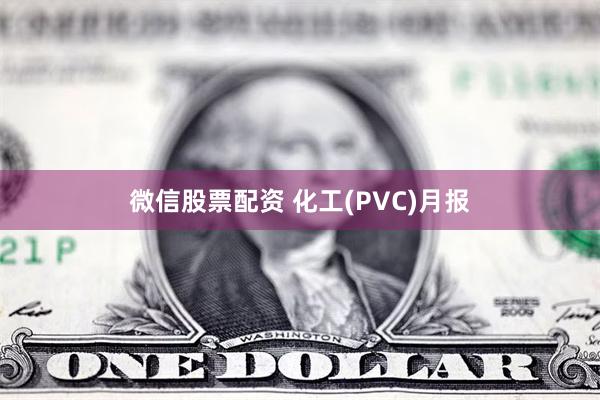 微信股票配资 化工(PVC)月报