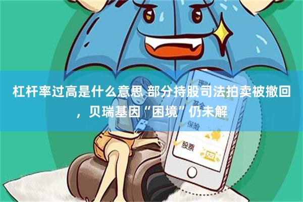 杠杆率过高是什么意思 部分持股司法拍卖被撤回，贝瑞基因“困境”仍未解