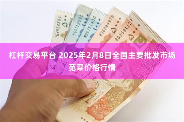 杠杆交易平台 2025年2月8日全国主要批发市场苋菜价格行情