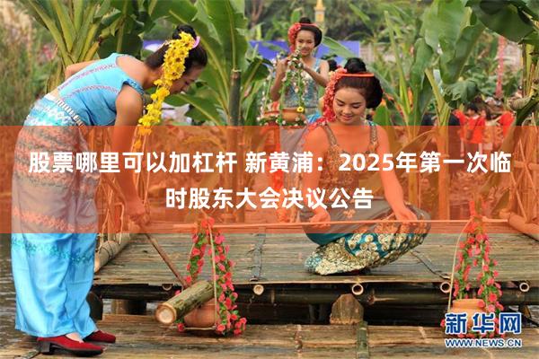 股票哪里可以加杠杆 新黄浦：2025年第一次临时股东大会决议公告