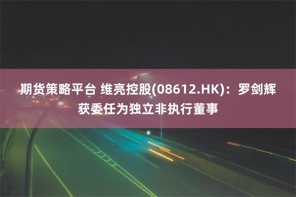 期货策略平台 维亮控股(08612.HK)：罗剑辉获委任为独立非执行董事